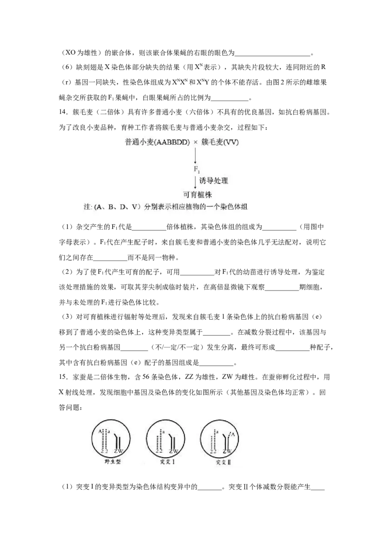 专题20染色体变异与生物育种（原卷版）_新高考复习资料_2023年新高考复习资料_二轮复习_增分要点2023高考生物二轮复习专题解读和分层训练291073137