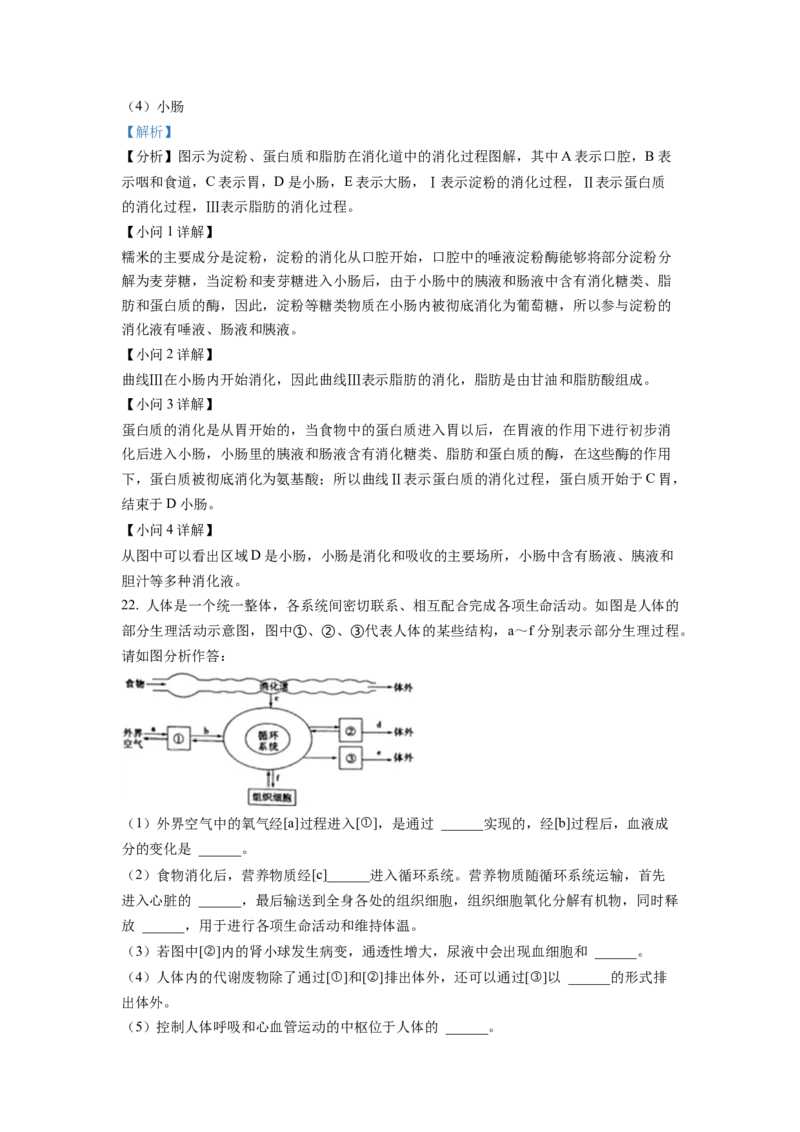 七年级下学期期末生物试题1（解析版）_初中全科电子版试卷练习试题_生物_生物人教版7下练习_人教生物7年级下期末试卷11份