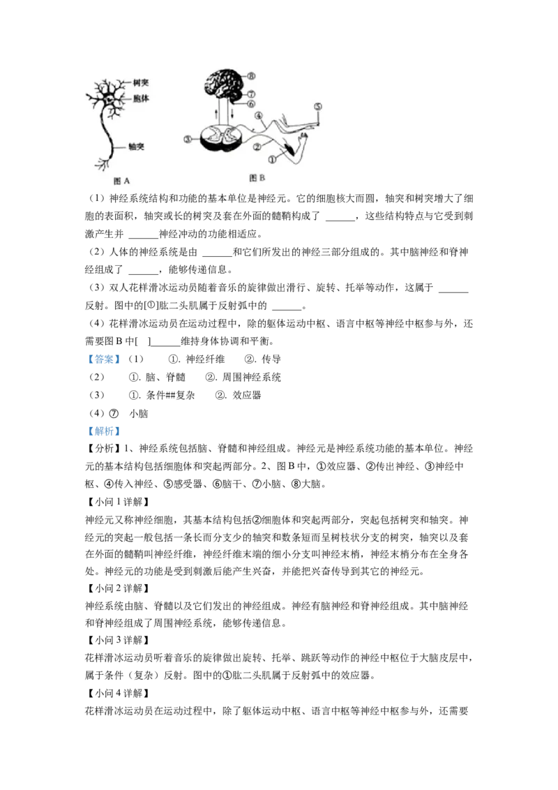 七年级下学期期末生物试题1（解析版）_初中全科电子版试卷练习试题_生物_生物人教版7下练习_人教生物7年级下期末试卷11份
