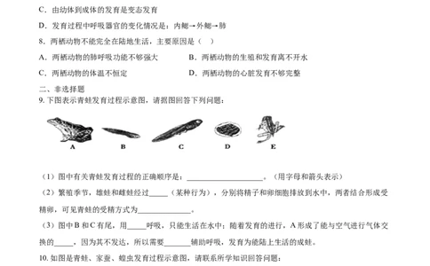 7.1.3两栖动物的生殖和发育（重点练）-（人教版）（原卷版）_初中全科电子版试卷练习试题_生物_生物8下练习_人教生物8年级下课时练习51份