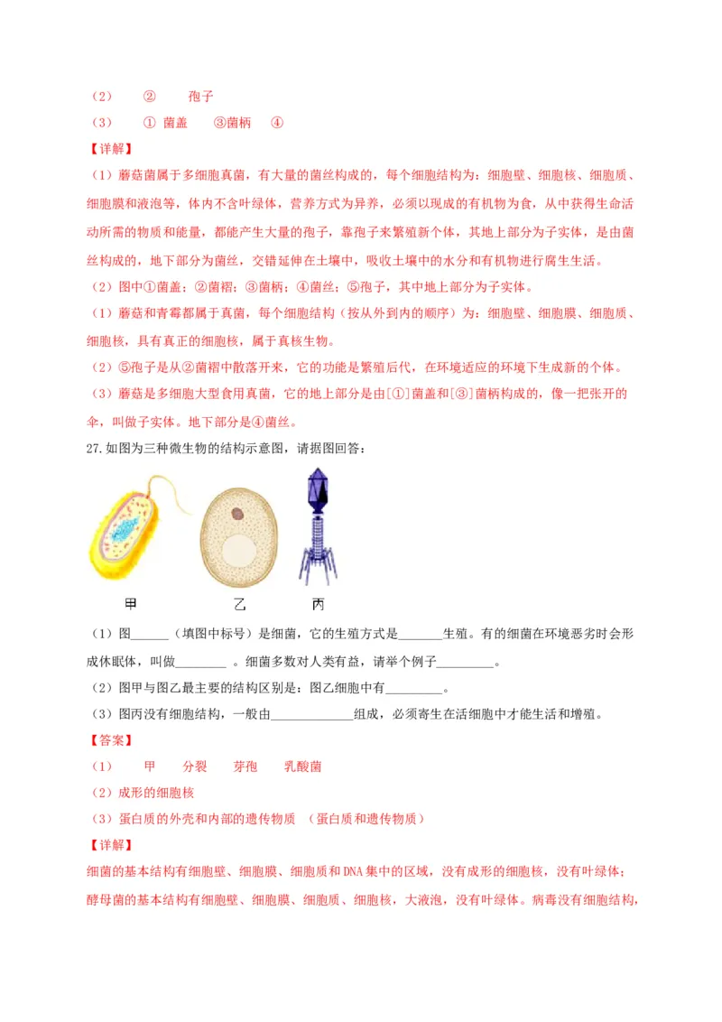 专题04细菌、真菌和病毒-（人教版）（解析版）_初中全科电子版试卷练习试题_生物_生物8上练习_人教生物8年级上专项练习23份_第1套八年级生物上册专项（人教版）09份