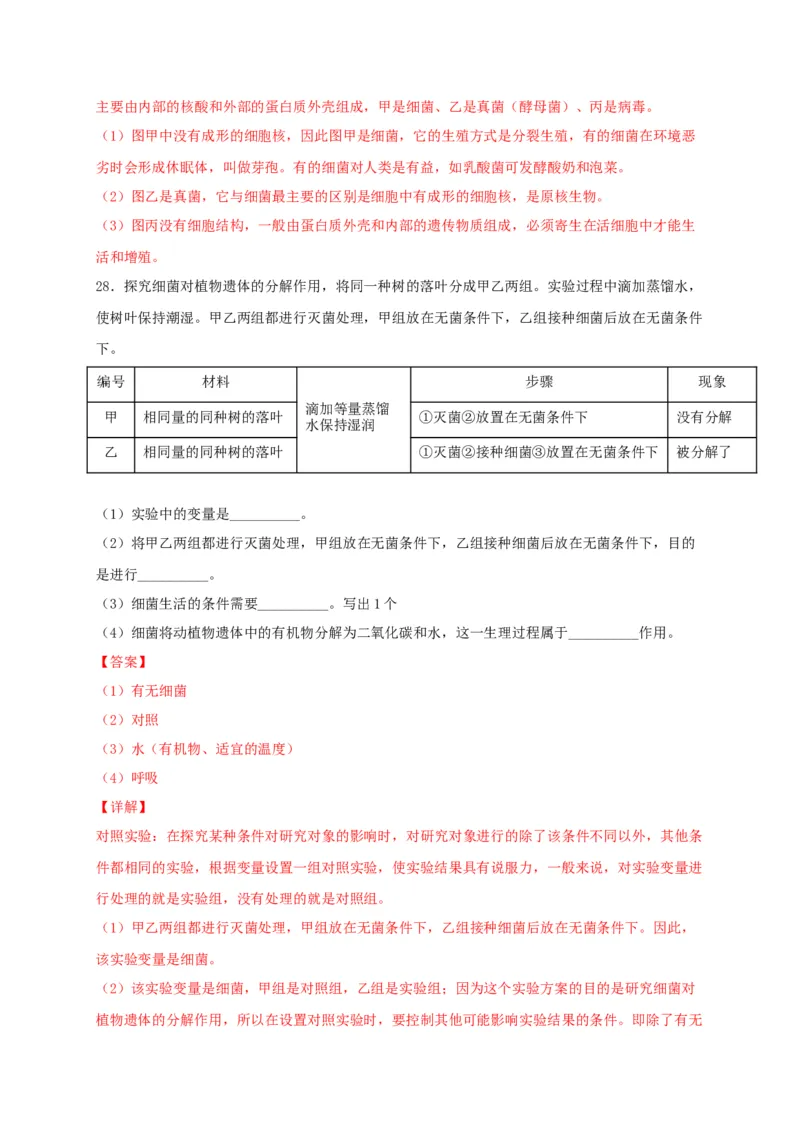专题04细菌、真菌和病毒-（人教版）（解析版）_初中全科电子版试卷练习试题_生物_生物8上练习_人教生物8年级上专项练习23份_第1套八年级生物上册专项（人教版）09份