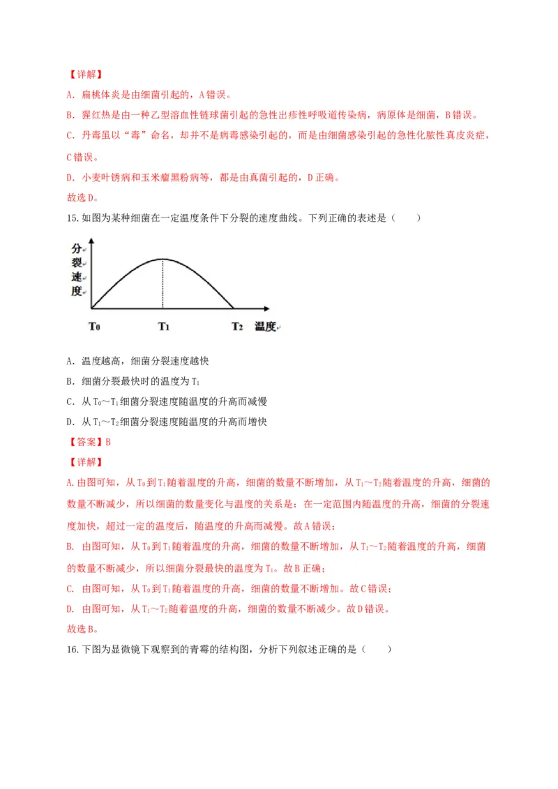 专题04细菌、真菌和病毒-（人教版）（解析版）_初中全科电子版试卷练习试题_生物_生物8上练习_人教生物8年级上专项练习23份_第1套八年级生物上册专项（人教版）09份