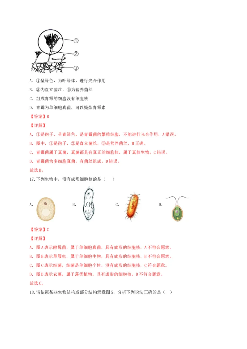专题04细菌、真菌和病毒-（人教版）（解析版）_初中全科电子版试卷练习试题_生物_生物8上练习_人教生物8年级上专项练习23份_第1套八年级生物上册专项（人教版）09份
