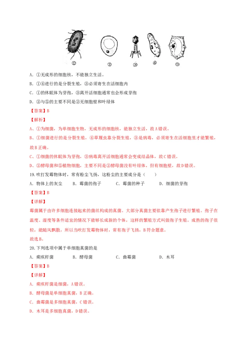 专题04细菌、真菌和病毒-（人教版）（解析版）_初中全科电子版试卷练习试题_生物_生物8上练习_人教生物8年级上专项练习23份_第1套八年级生物上册专项（人教版）09份