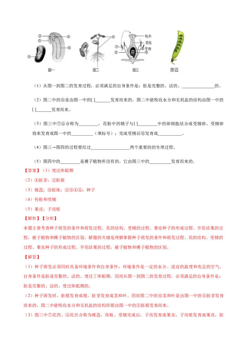 专题3.1.2种子植物（解析版）_初中全科电子版试卷练习试题_生物_生物人教版7上练习&mdash;24新版已更新_人教生物7年级上课时练习39份_七年级生物上册课时练习（人教版）18份