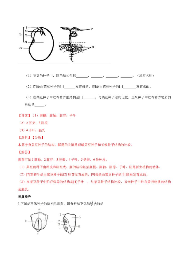 专题3.1.2种子植物（解析版）_初中全科电子版试卷练习试题_生物_生物人教版7上练习&mdash;24新版已更新_人教生物7年级上课时练习39份_七年级生物上册课时练习（人教版）18份