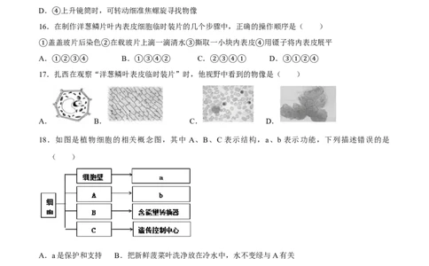 七年级上册人教版期中测试01（原卷版）_初中全科电子版试卷练习试题_生物_生物人教版7上练习&mdash;24新版已更新_人教生物7年级上期中试卷07份