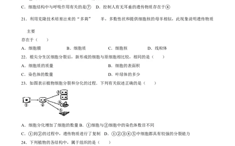 七年级上册人教版期中测试01（原卷版）_初中全科电子版试卷练习试题_生物_生物人教版7上练习&mdash;24新版已更新_人教生物7年级上期中试卷07份