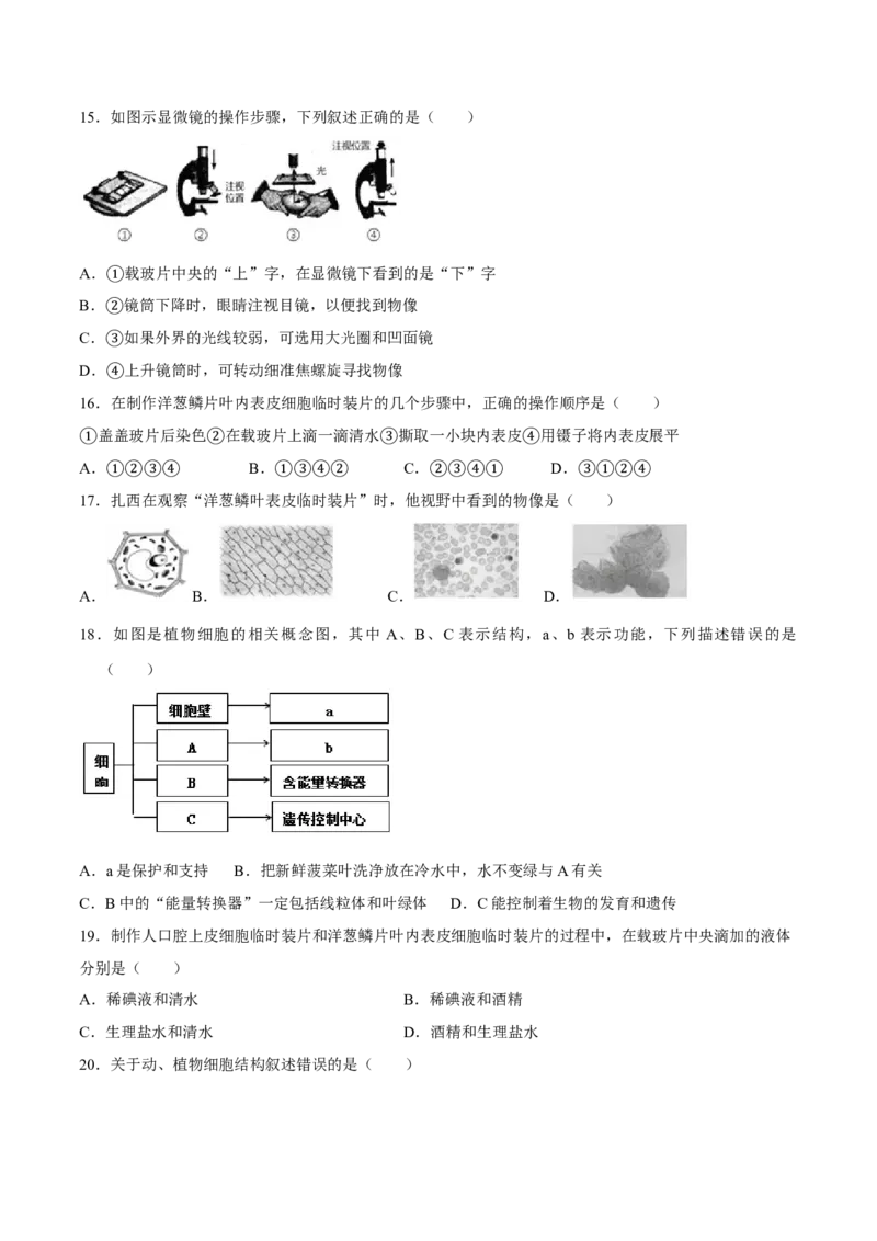 七年级上册人教版期中测试01（原卷版）_初中全科电子版试卷练习试题_生物_生物人教版7上练习&mdash;24新版已更新_人教生物7年级上期中试卷07份
