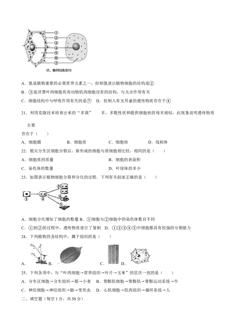 七年级上册人教版期中测试01（原卷版）_初中全科电子版试卷练习试题_生物_生物人教版7上练习&mdash;24新版已更新_人教生物7年级上期中试卷07份