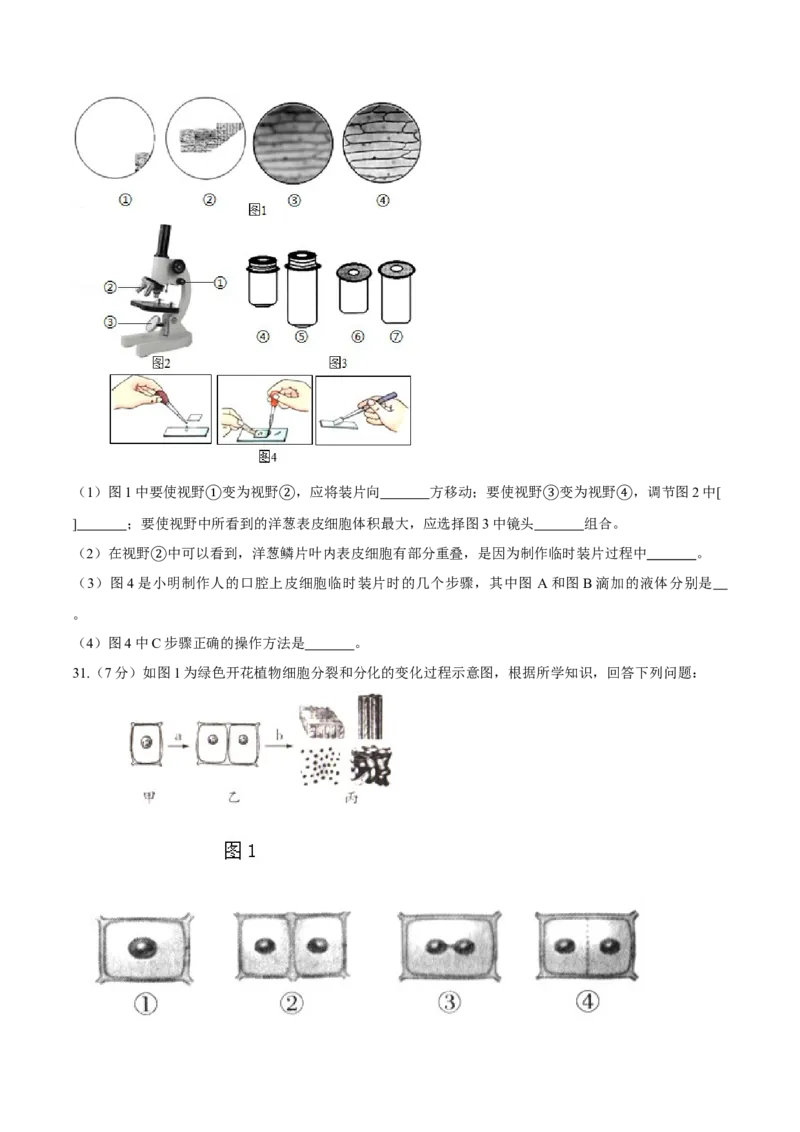 七年级上册人教版期中测试01（原卷版）_初中全科电子版试卷练习试题_生物_生物人教版7上练习&mdash;24新版已更新_人教生物7年级上期中试卷07份