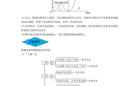 专题26免疫调节（串讲）（解析版）_新高考复习资料_2024年新高考复习资料_一轮复习资料_完备战2024年高考生物一轮复习串讲精练（新高考专用）_串讲_解析版