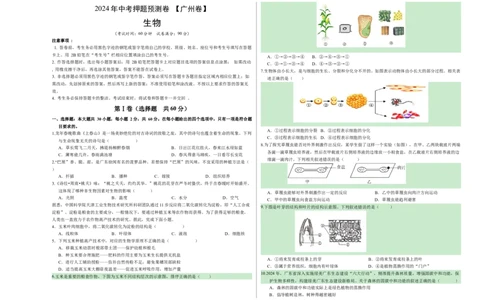 2024年中考押题预测卷（广州卷）-生物（考试版）A3_初中全科电子版试卷练习试题_生物_2024中考模拟题生物(1)_押题预测