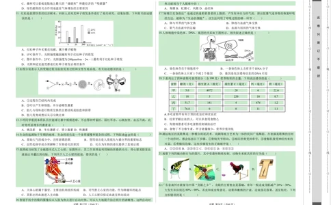 2024年中考押题预测卷（广州卷）-生物（考试版）A3_初中全科电子版试卷练习试题_生物_2024中考模拟题生物(1)_押题预测