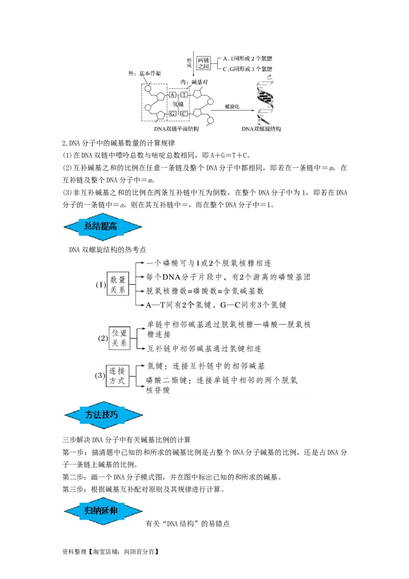 专题18DNA分子的结构、复制及基因的本质（串讲）（解析版）_新高考复习资料_2024年新高考复习资料_一轮复习资料_完备战2024年高考生物一轮复习串讲精练（新高考专用）_串讲_解析版