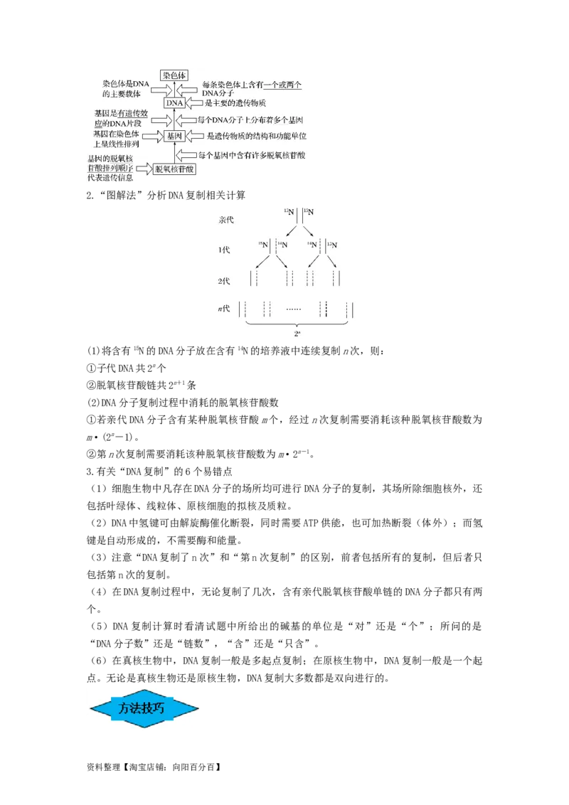 专题18DNA分子的结构、复制及基因的本质（串讲）（解析版）_新高考复习资料_2024年新高考复习资料_一轮复习资料_完备战2024年高考生物一轮复习串讲精练（新高考专用）_串讲_解析版