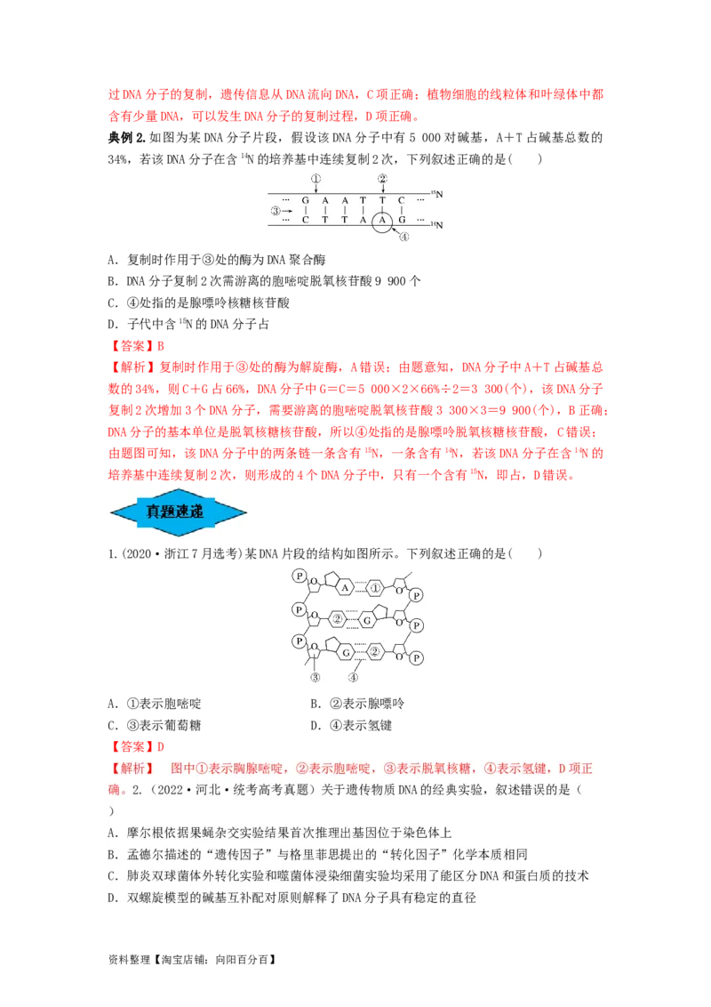 专题18DNA分子的结构、复制及基因的本质（串讲）（解析版）_新高考复习资料_2024年新高考复习资料_一轮复习资料_完备战2024年高考生物一轮复习串讲精练（新高考专用）_串讲_解析版