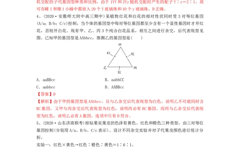 专题15基因的自由组合定律（精练）（解析版）_新高考复习资料_2024年新高考复习资料_一轮复习资料_完备战2024年高考生物一轮复习串讲精练（新高考专用）_精练_解析版