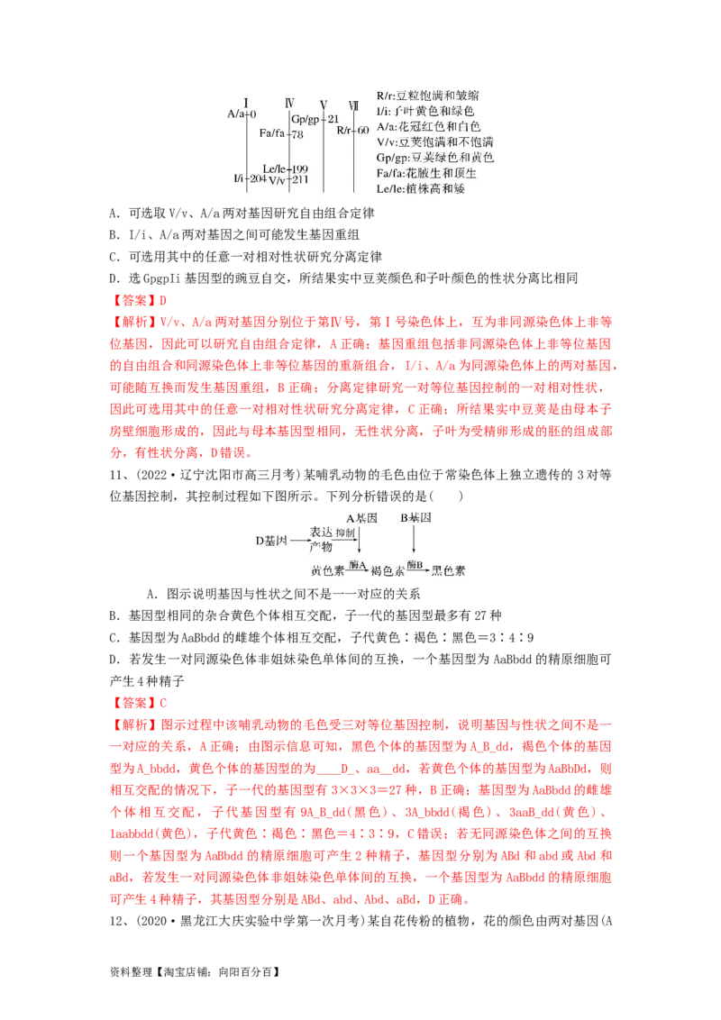 专题15基因的自由组合定律（精练）（解析版）_新高考复习资料_2024年新高考复习资料_一轮复习资料_完备战2024年高考生物一轮复习串讲精练（新高考专用）_精练_解析版