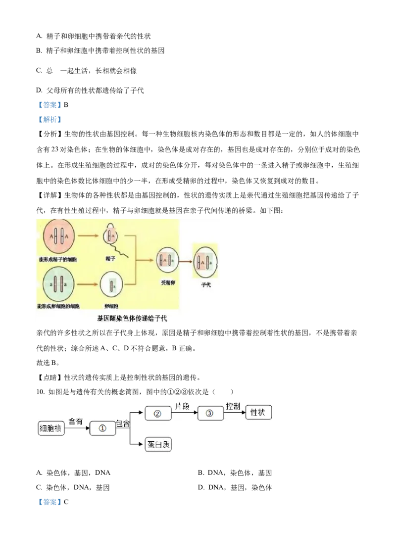 07八年级下学期期末生物试题（解析版）_初中全科电子版试卷练习试题_生物_生物8下练习_人教生物8年级下期末试卷12份