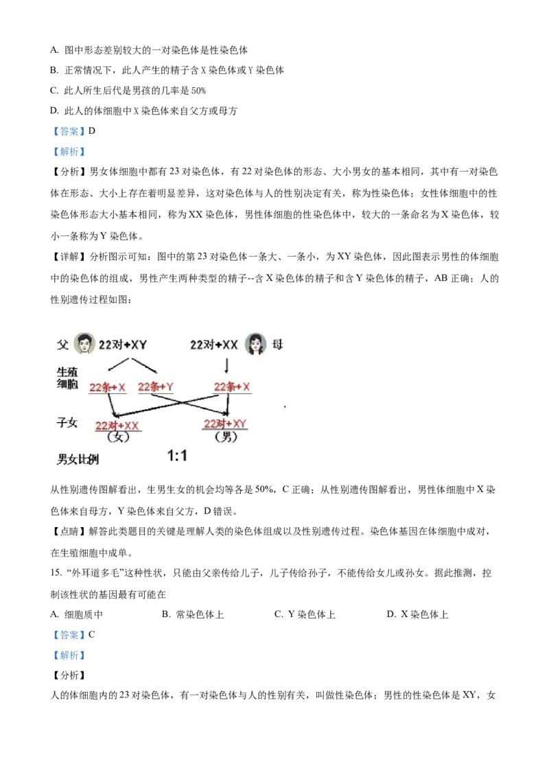 07八年级下学期期末生物试题（解析版）_初中全科电子版试卷练习试题_生物_生物8下练习_人教生物8年级下期末试卷12份