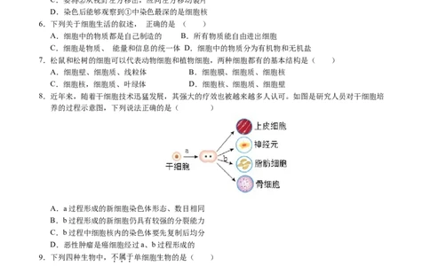 七年级生物期末模拟卷02（考试版）测试范围：七上全册（人教版2024）_初中全科电子版试卷练习试题_生物_生物人教版7上练习&mdash;24新版已更新_人教生物7年级上期末试卷11份