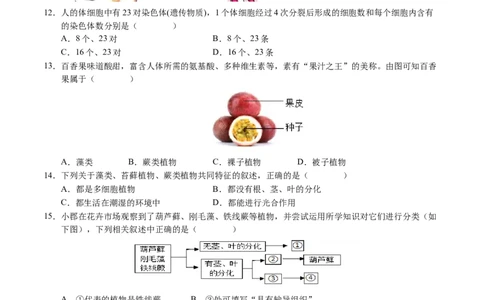 七年级生物期末模拟卷02（考试版）测试范围：七上全册（人教版2024）_初中全科电子版试卷练习试题_生物_生物人教版7上练习&mdash;24新版已更新_人教生物7年级上期末试卷11份
