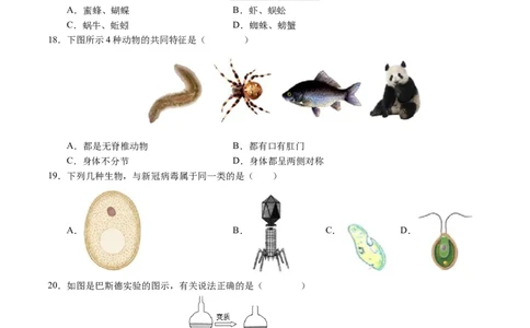 七年级生物期末模拟卷02（考试版）测试范围：七上全册（人教版2024）_初中全科电子版试卷练习试题_生物_生物人教版7上练习&mdash;24新版已更新_人教生物7年级上期末试卷11份