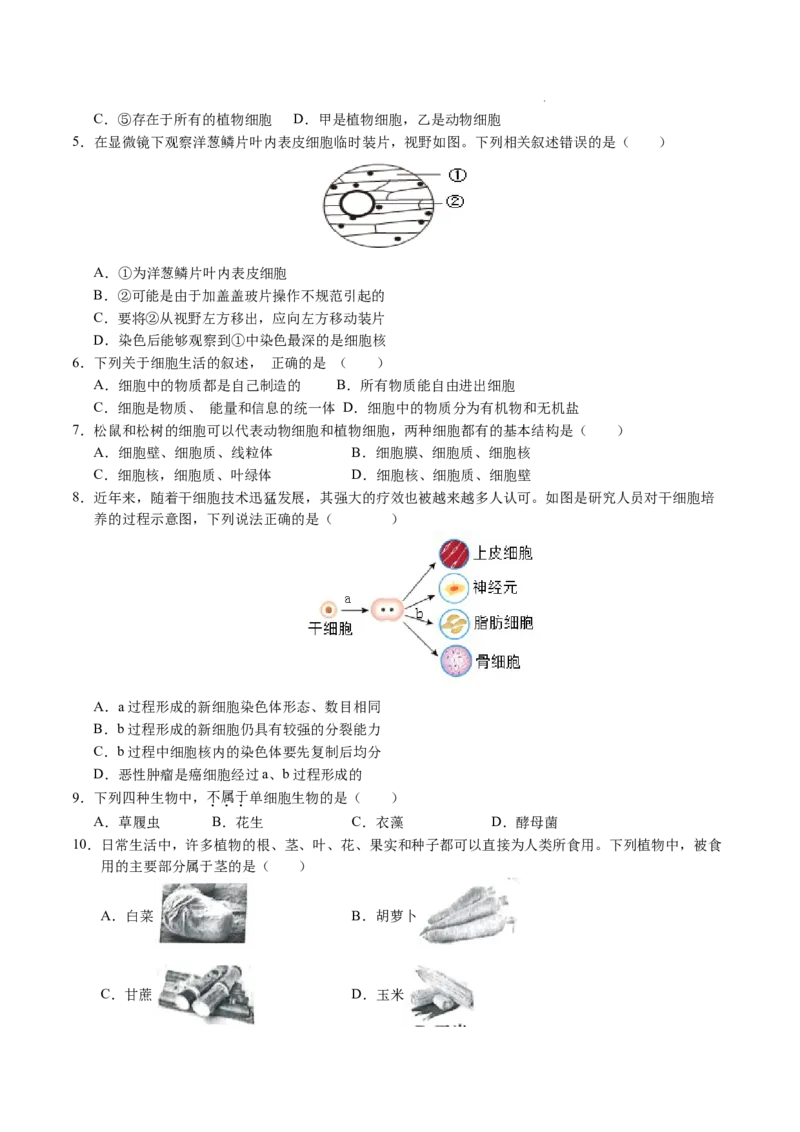 七年级生物期末模拟卷02（考试版）测试范围：七上全册（人教版2024）_初中全科电子版试卷练习试题_生物_生物人教版7上练习&mdash;24新版已更新_人教生物7年级上期末试卷11份