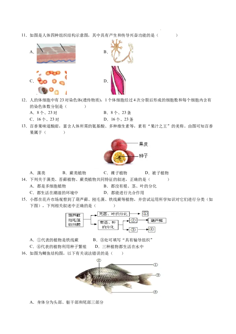 七年级生物期末模拟卷02（考试版）测试范围：七上全册（人教版2024）_初中全科电子版试卷练习试题_生物_生物人教版7上练习&mdash;24新版已更新_人教生物7年级上期末试卷11份
