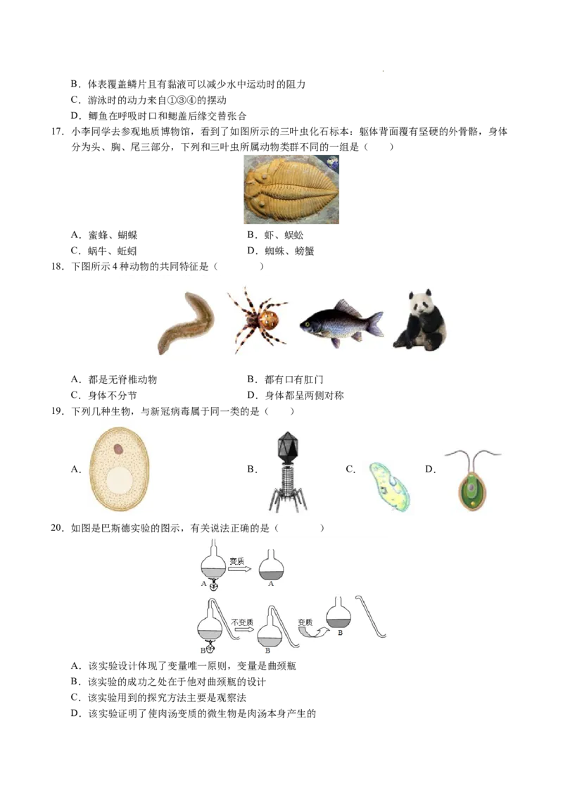 七年级生物期末模拟卷02（考试版）测试范围：七上全册（人教版2024）_初中全科电子版试卷练习试题_生物_生物人教版7上练习&mdash;24新版已更新_人教生物7年级上期末试卷11份