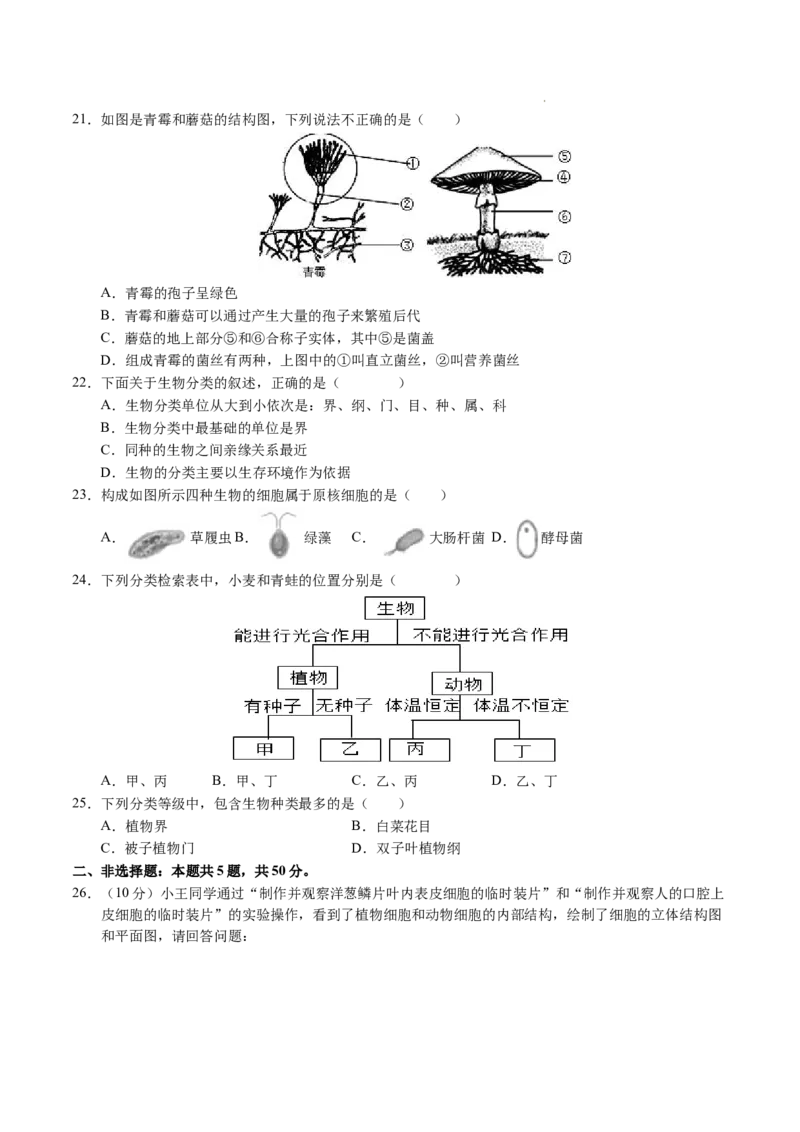 七年级生物期末模拟卷02（考试版）测试范围：七上全册（人教版2024）_初中全科电子版试卷练习试题_生物_生物人教版7上练习&mdash;24新版已更新_人教生物7年级上期末试卷11份