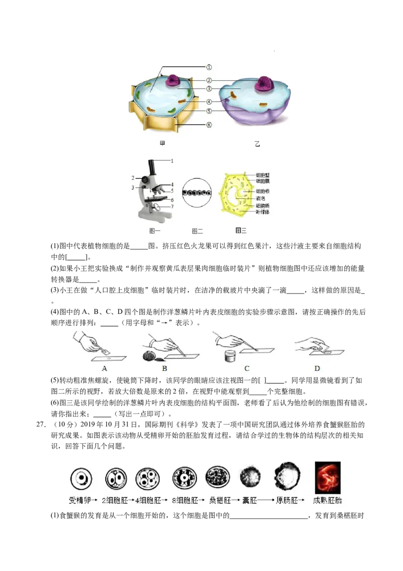 七年级生物期末模拟卷02（考试版）测试范围：七上全册（人教版2024）_初中全科电子版试卷练习试题_生物_生物人教版7上练习&mdash;24新版已更新_人教生物7年级上期末试卷11份
