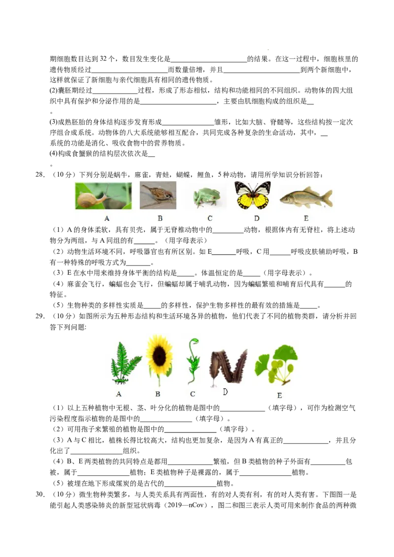 七年级生物期末模拟卷02（考试版）测试范围：七上全册（人教版2024）_初中全科电子版试卷练习试题_生物_生物人教版7上练习&mdash;24新版已更新_人教生物7年级上期末试卷11份