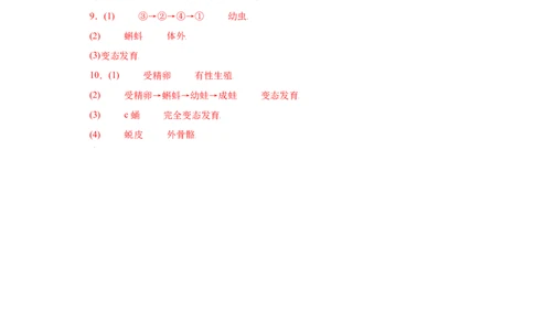 7.1.3两栖动物的生殖和发育（练习）-（人教版）（原卷版）_初中全科电子版试卷练习试题_生物_生物8下练习_人教生物8年级下课时练习51份