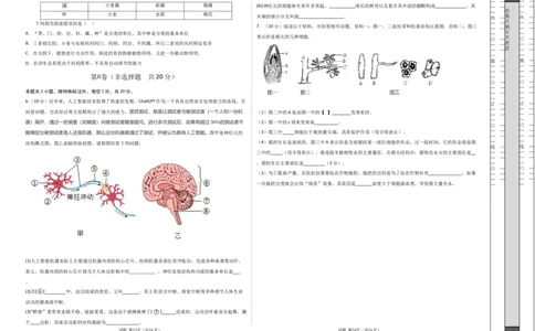 2024年中考押题预测卷02（内蒙古卷）-生物（考试版）A3_初中全科电子版试卷练习试题_生物_2024中考模拟题生物(1)_押题预测