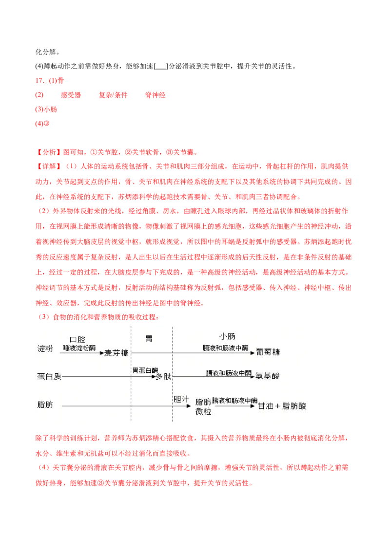 生物（广西卷）全解全析_初中全科电子版试卷练习试题_生物_2024中考模拟题生物(1)_二模_生物（广西卷）-：2024年中考第二次模拟考试