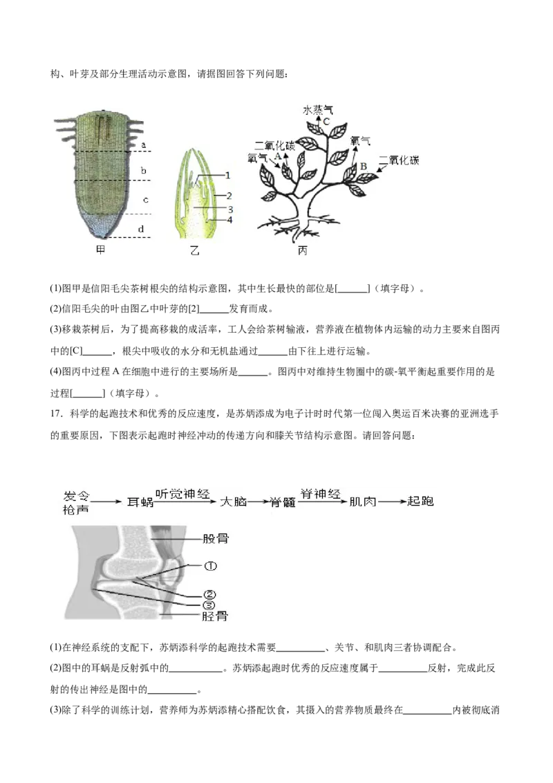 生物（广西卷）全解全析_初中全科电子版试卷练习试题_生物_2024中考模拟题生物(1)_二模_生物（广西卷）-：2024年中考第二次模拟考试