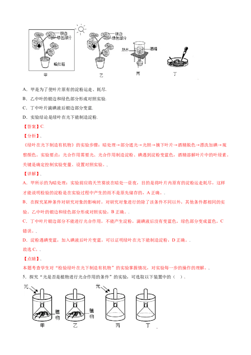 必考点20绿色植物是生物圈中有机物的制造者-（人教版）（解析版）_初中全科电子版试卷练习试题_生物_生物人教版7上练习&mdash;24新版已更新_人教生物7年级上专项练习28份