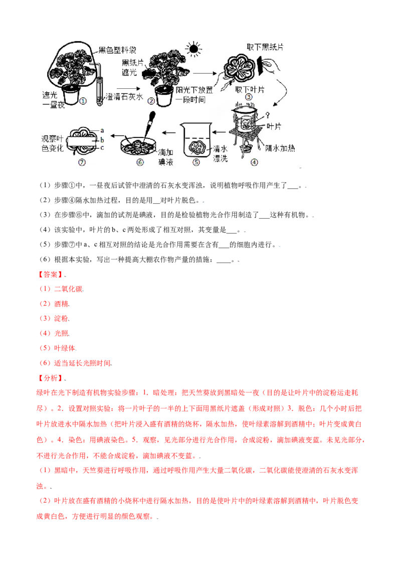 必考点20绿色植物是生物圈中有机物的制造者-（人教版）（解析版）_初中全科电子版试卷练习试题_生物_生物人教版7上练习&mdash;24新版已更新_人教生物7年级上专项练习28份
