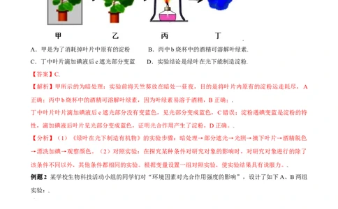 必考点20绿色植物是生物圈中有机物的制造者-（人教版）（解析版）_初中全科电子版试卷练习试题_生物_生物人教版7上练习&mdash;24新版已更新_人教生物7年级上专项练习28份