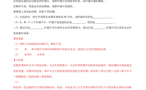 必考点20绿色植物是生物圈中有机物的制造者-（人教版）（解析版）_初中全科电子版试卷练习试题_生物_生物人教版7上练习&mdash;24新版已更新_人教生物7年级上专项练习28份