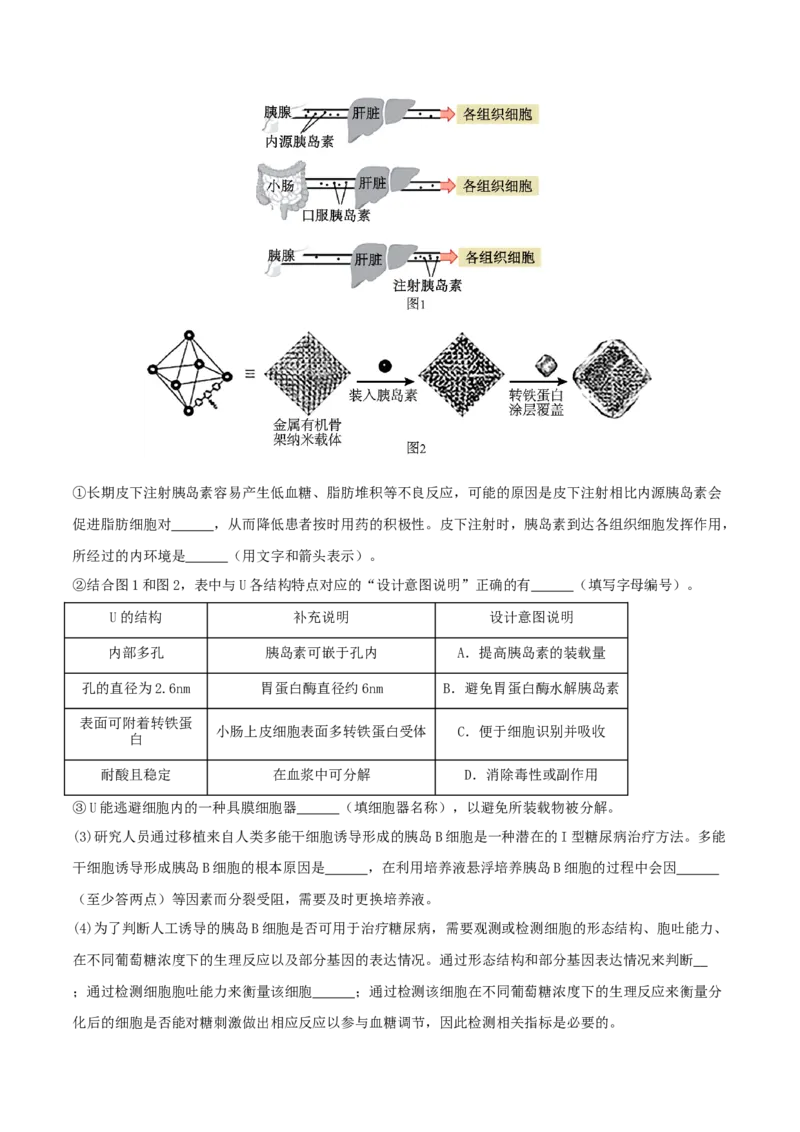 专题综合练08动物生命活动调节(原卷版)_新高考复习资料_2024年新高考复习资料_一轮复习资料_完备战2024年高考生物一轮复习考点帮（新高考）_选择性必修1