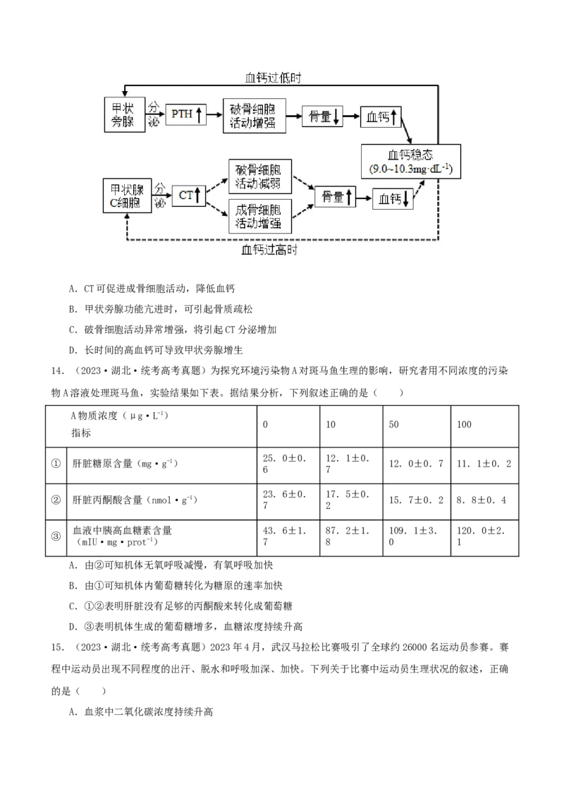 专题综合练08动物生命活动调节(原卷版)_新高考复习资料_2024年新高考复习资料_一轮复习资料_完备战2024年高考生物一轮复习考点帮（新高考）_选择性必修1