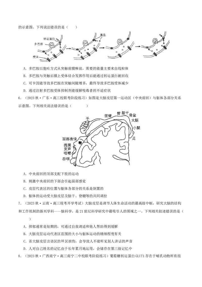 专题综合练08动物生命活动调节(原卷版)_新高考复习资料_2024年新高考复习资料_一轮复习资料_完备战2024年高考生物一轮复习考点帮（新高考）_选择性必修1