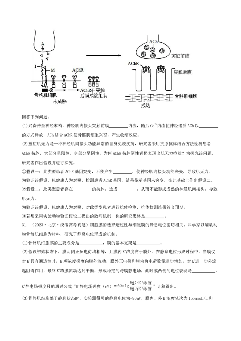 专题综合练08动物生命活动调节(原卷版)_新高考复习资料_2024年新高考复习资料_一轮复习资料_完备战2024年高考生物一轮复习考点帮（新高考）_选择性必修1