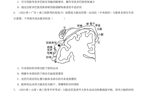 专题综合练08动物生命活动调节(原卷版)_新高考复习资料_2024年新高考复习资料_一轮复习资料_完备战2024年高考生物一轮复习考点帮（新高考）_选择性必修1