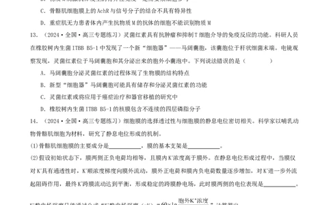 专题综合练08动物生命活动调节(原卷版)_新高考复习资料_2024年新高考复习资料_一轮复习资料_完备战2024年高考生物一轮复习考点帮（新高考）_选择性必修1