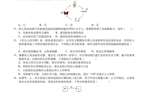 生物（广西卷）（考试版A4）_初中全科电子版试卷练习试题_生物_2024中考模拟题生物(1)_一模_生物（广西卷）-2024年中考第一次模拟考试